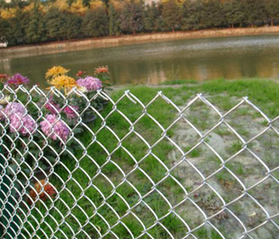 Chain link fence
