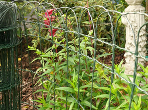 Garden border fence