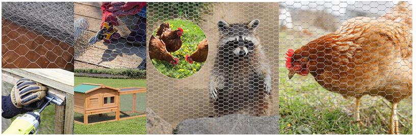 Hexagonal wire netting