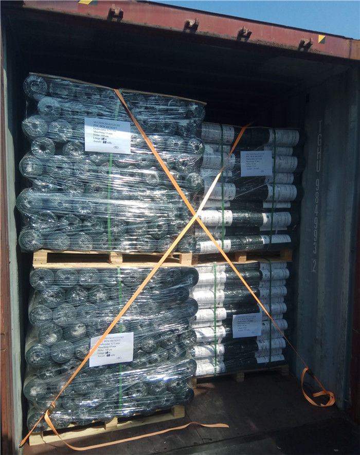 Hexagonal Wire Mesh PVC Coated